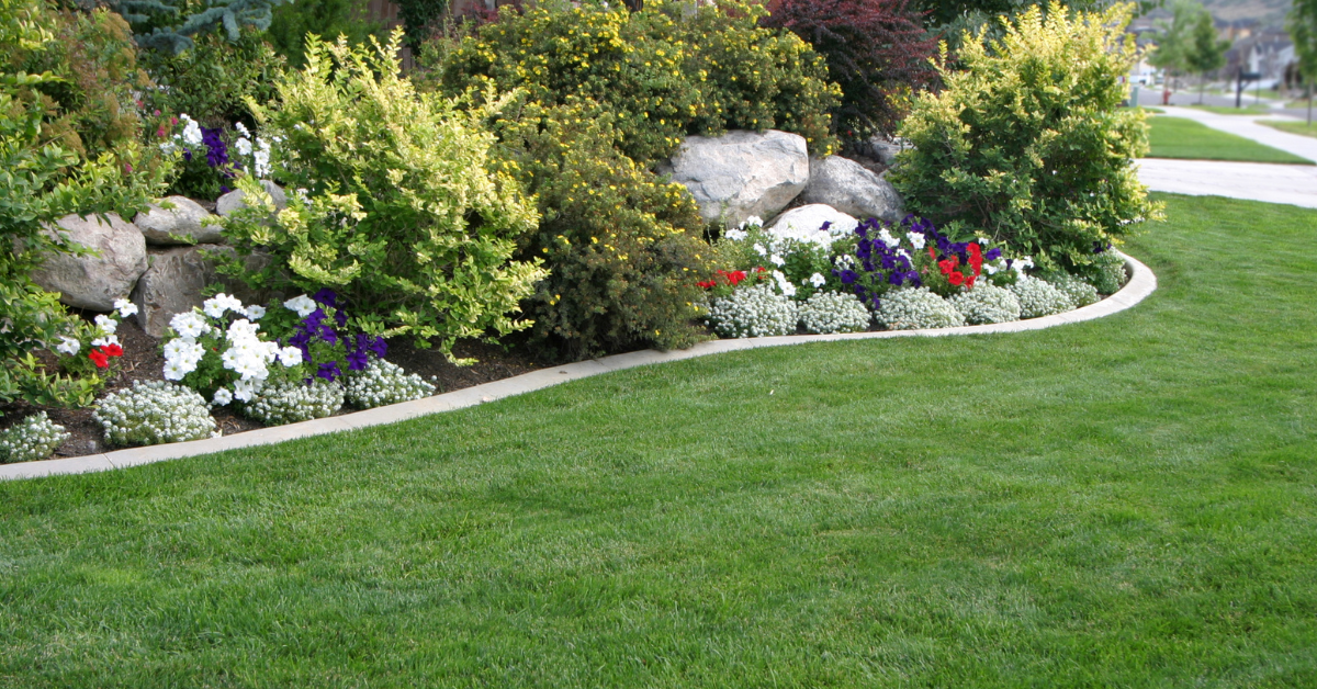 What Are Some Easy And Affordable Landscaping Ideas?